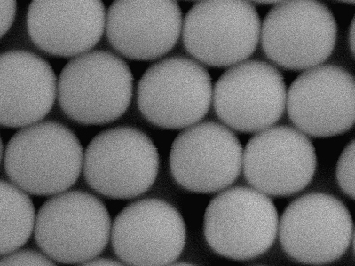 Monodisperse Kugelige Silica-Partikel - 500nm